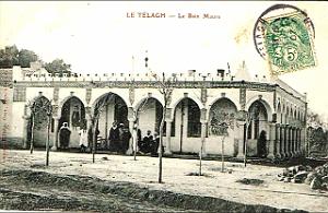 TELAGH 045